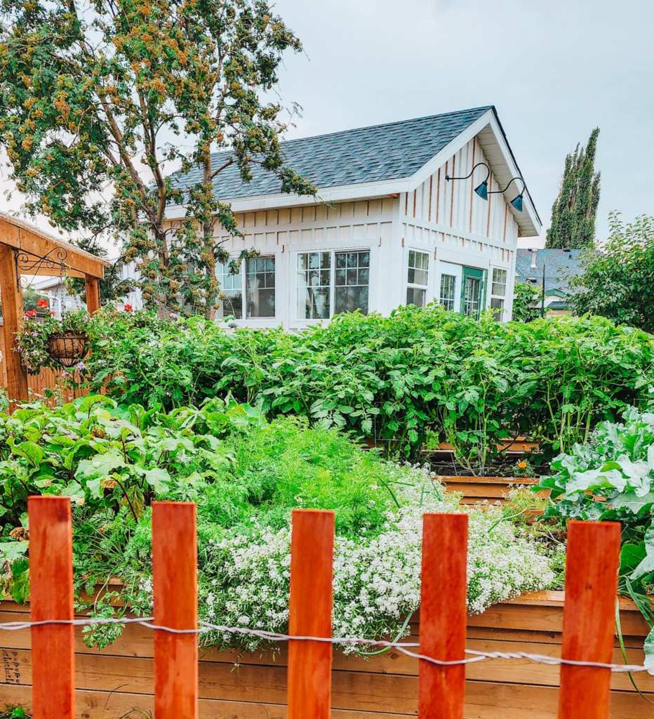 A view of a lush vegetable garden with wooden raised beds surrounded by a wooden fence, featuring a cozy white house in the background and a cloudy sky above.