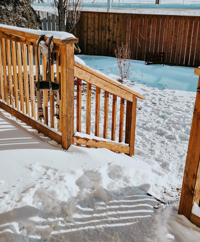 A snowy scene showing a wooden railing and steps leading down to a snow-covered yard, with a harness hanging on the railing.