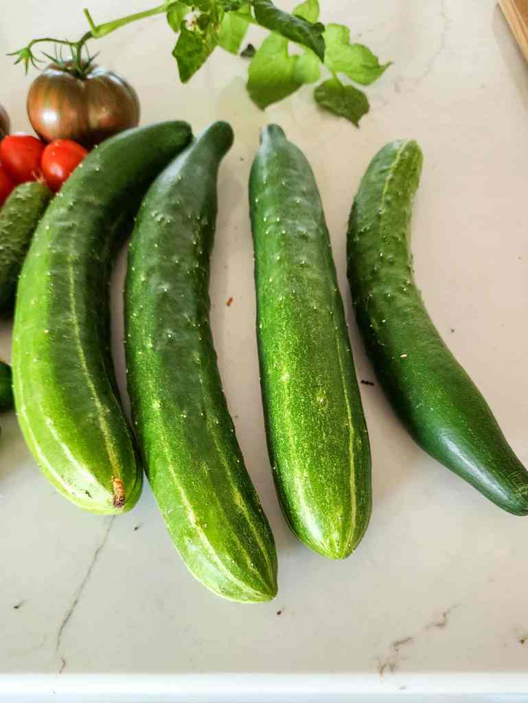 Four fresh cucumbers arranged on a countertop, with a few tomatoes and green leaves in the background.