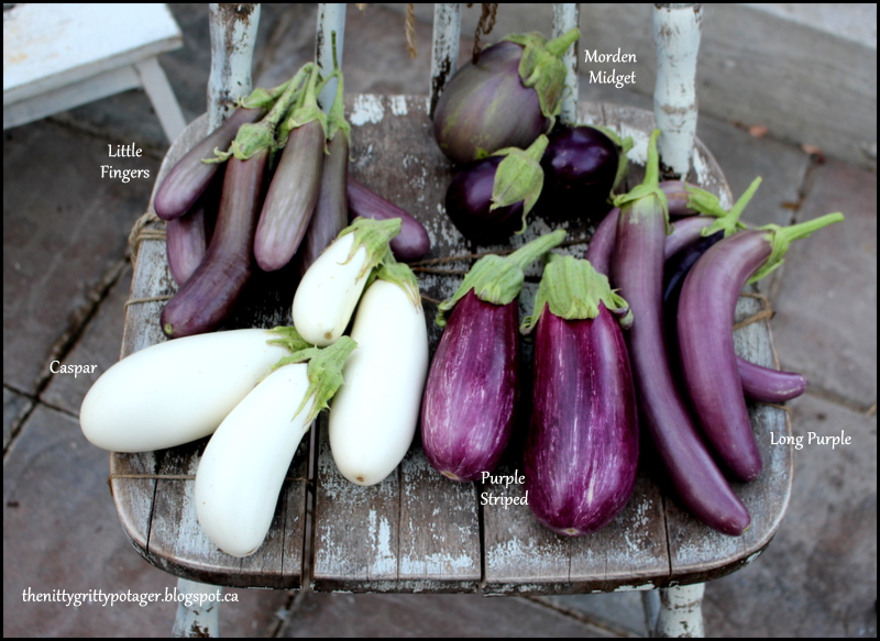 Sunday Potager Ramblings #72 (growing eggplants, spring gardens, and&nbsp;family)