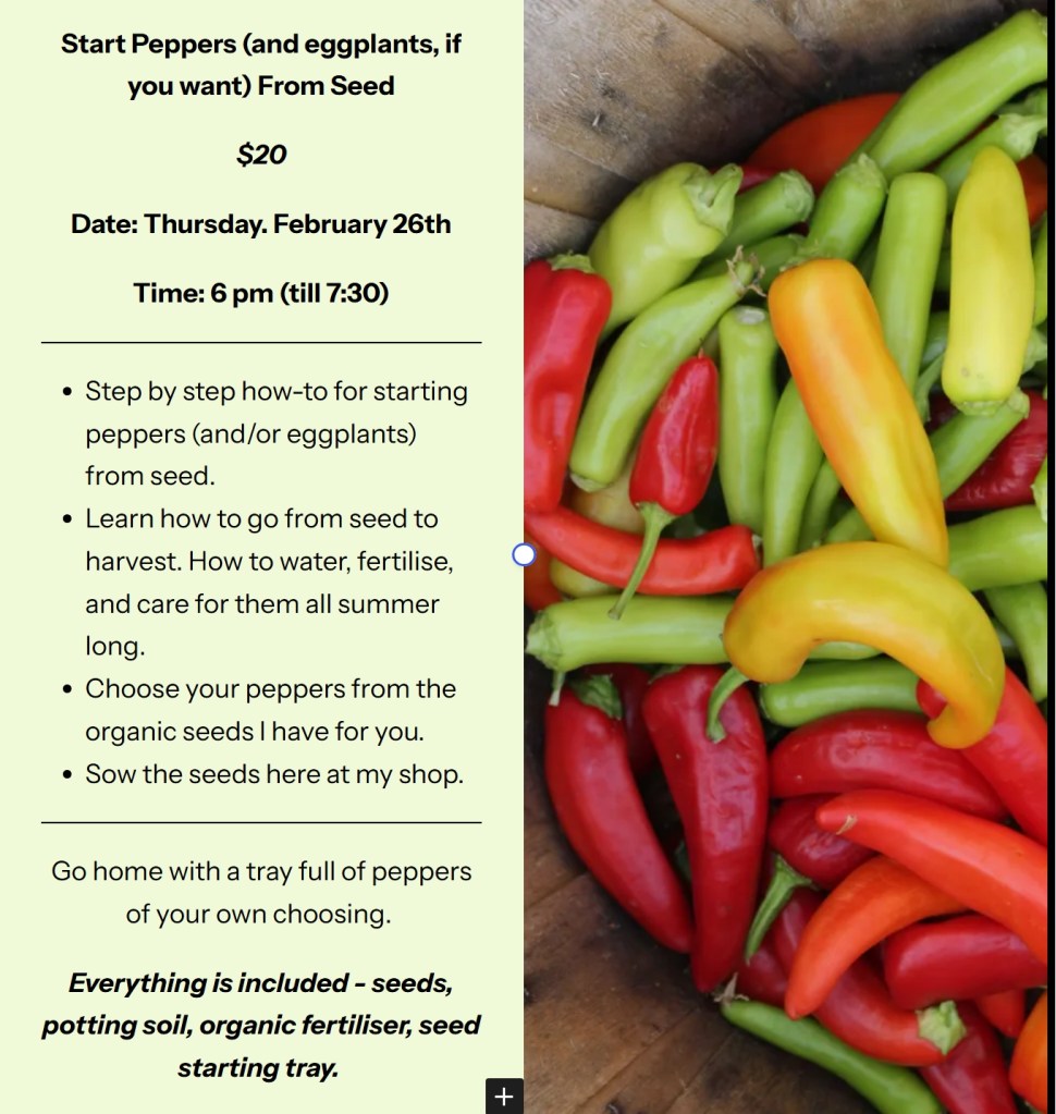 Colorful assortment of peppers and eggplants in a wooden container, showcasing various shapes and sizes.