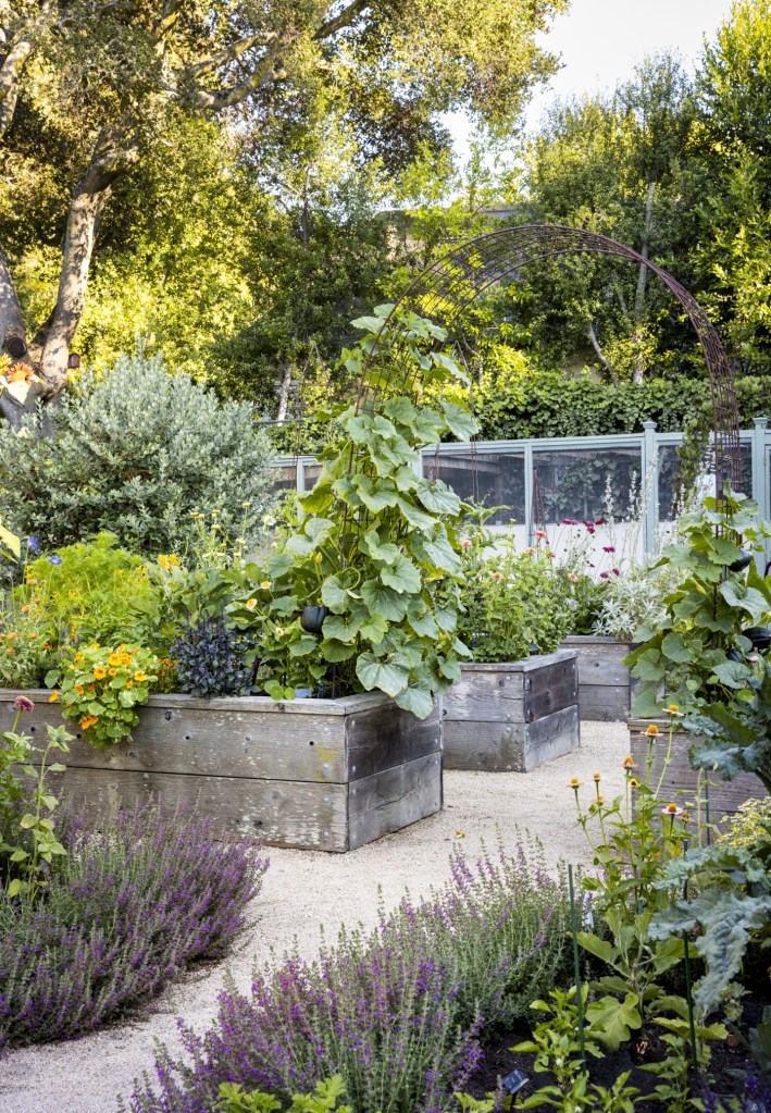 A landscaped garden featuring wooden raised beds filled with various plants and herbs, surrounded by a pathway made of gravel. Lush greenery and trees in the background enhance the natural environment.