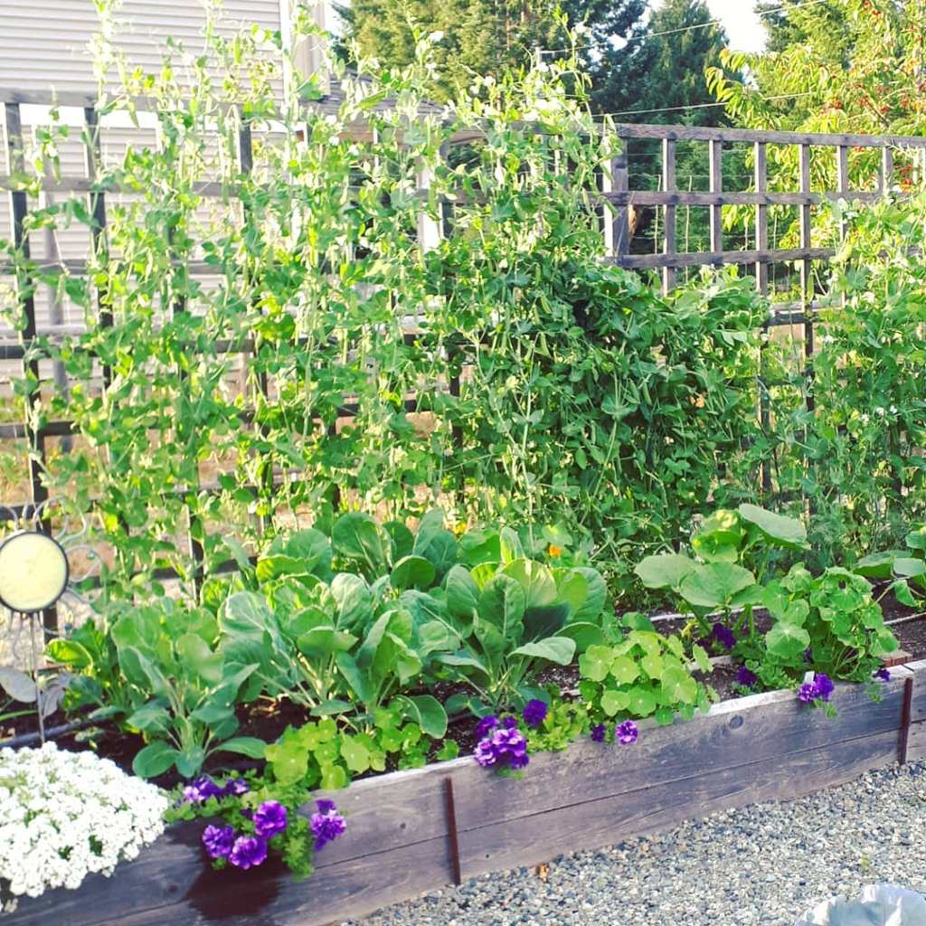 Planning Your (Potager) Garden Layout