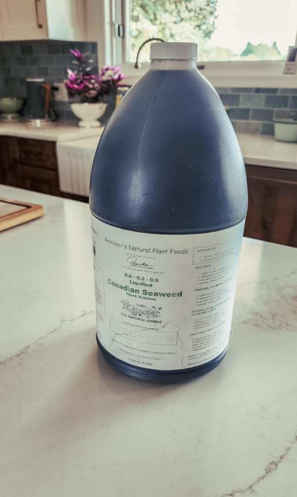 A gallon container of liquefied Canadian seaweed plant food with a label detailing its usage and benefits, sitting on a marble countertop. In the background, there are plants and kitchen elements.