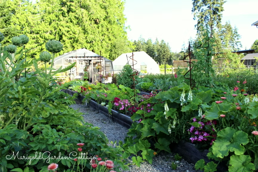 A vibrant garden filled with a variety of colorful flowers and plants, with a greenhouse visible in the background, surrounded by tall trees.