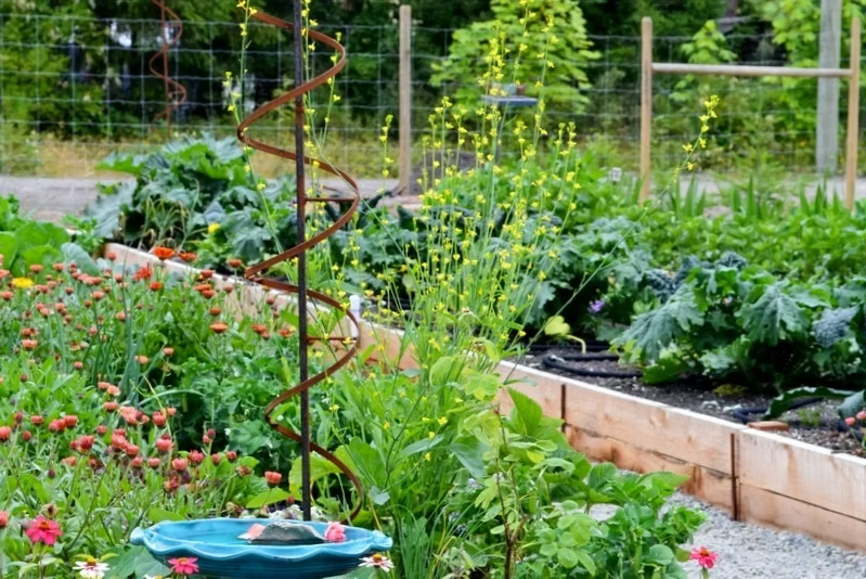 A spiral garden trellis surrounded by vibrant flowers and leafy greens in a garden setting.