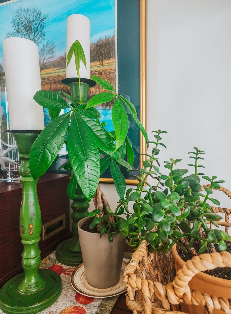 A cozy indoor scene featuring two green candlesticks with white candles, a leafy money tree in a beige pot, and a lucky jade in a woven basket, with a nature-themed painting in the background.