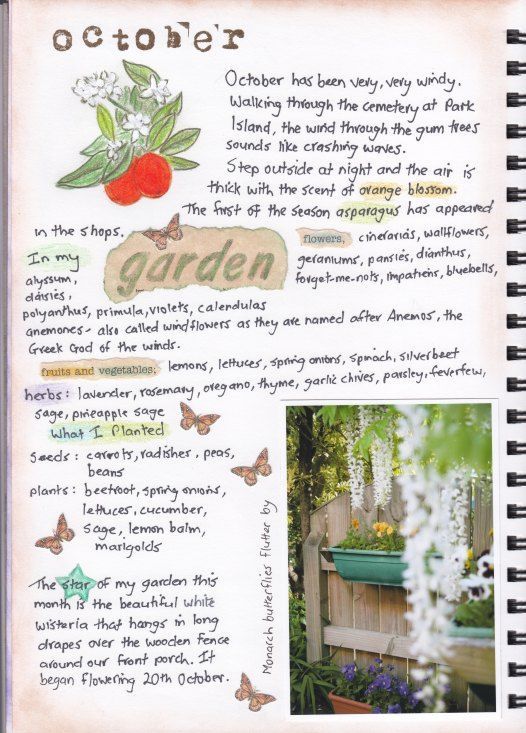 A creative journal page titled 'October,' featuring handwritten notes about gardening, including the types of flowers, herbs, and vegetables planted. The page contains decorative elements like illustrations of flowers, butterflies, and fruits.