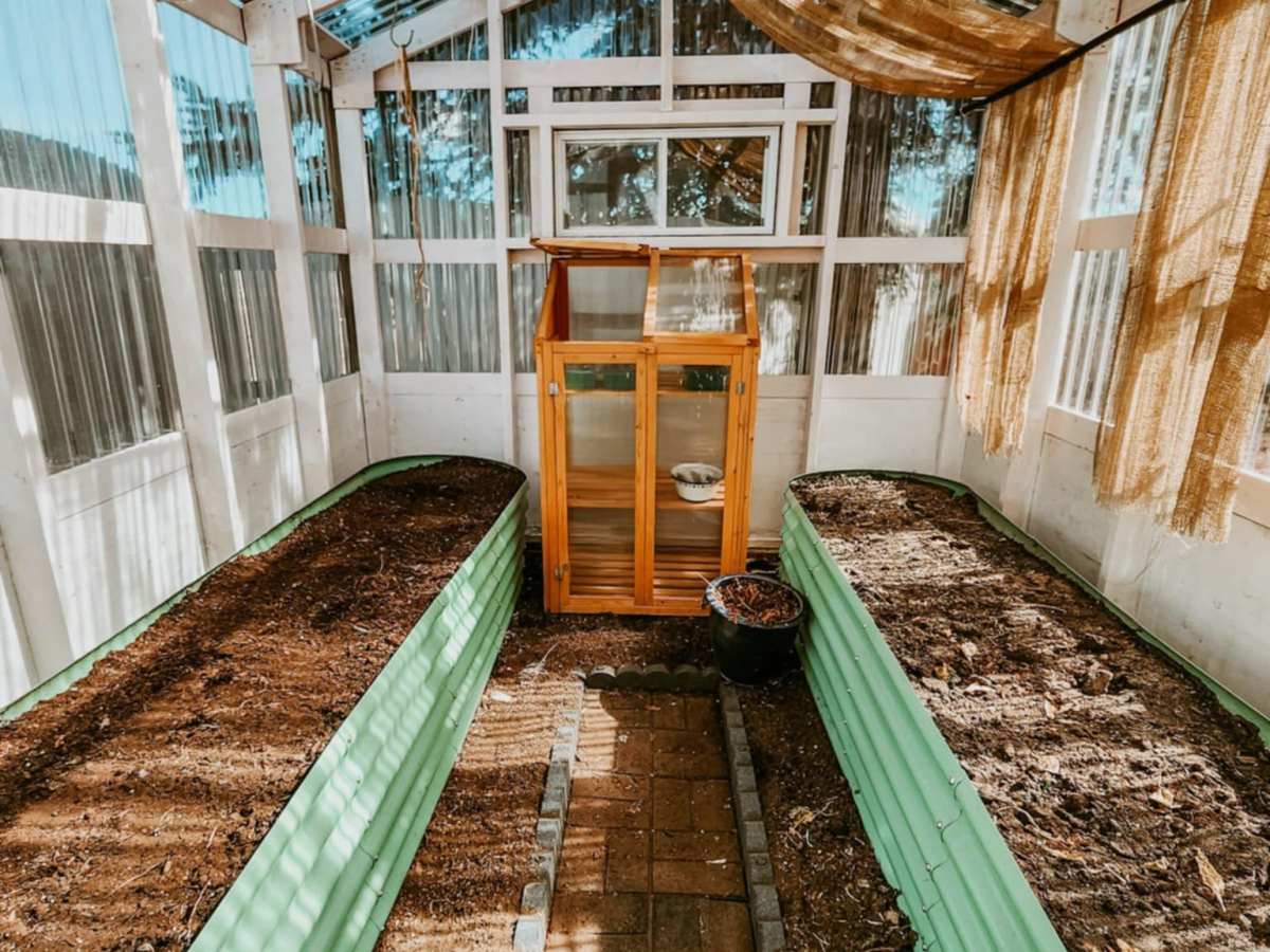 End of March In The Potting&nbsp;Shed