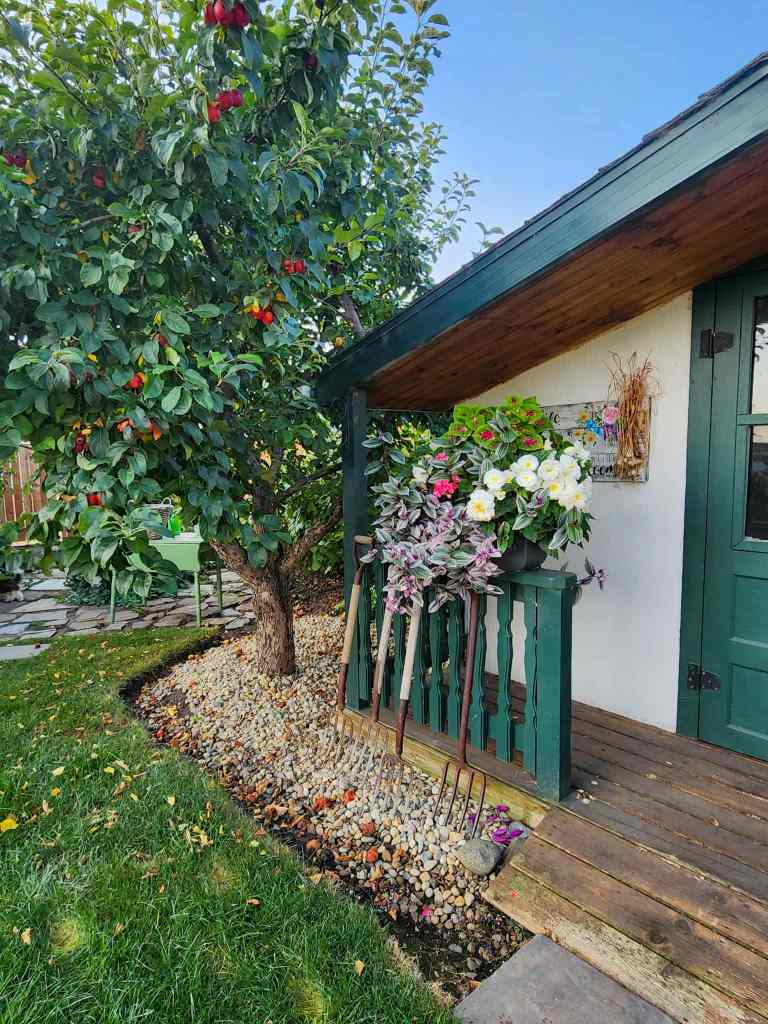 A thriving window box planter on a railing. Garden forks are lined up along the railing of a green and white shed as garden decor. Lush green background with stone patio in the back.   