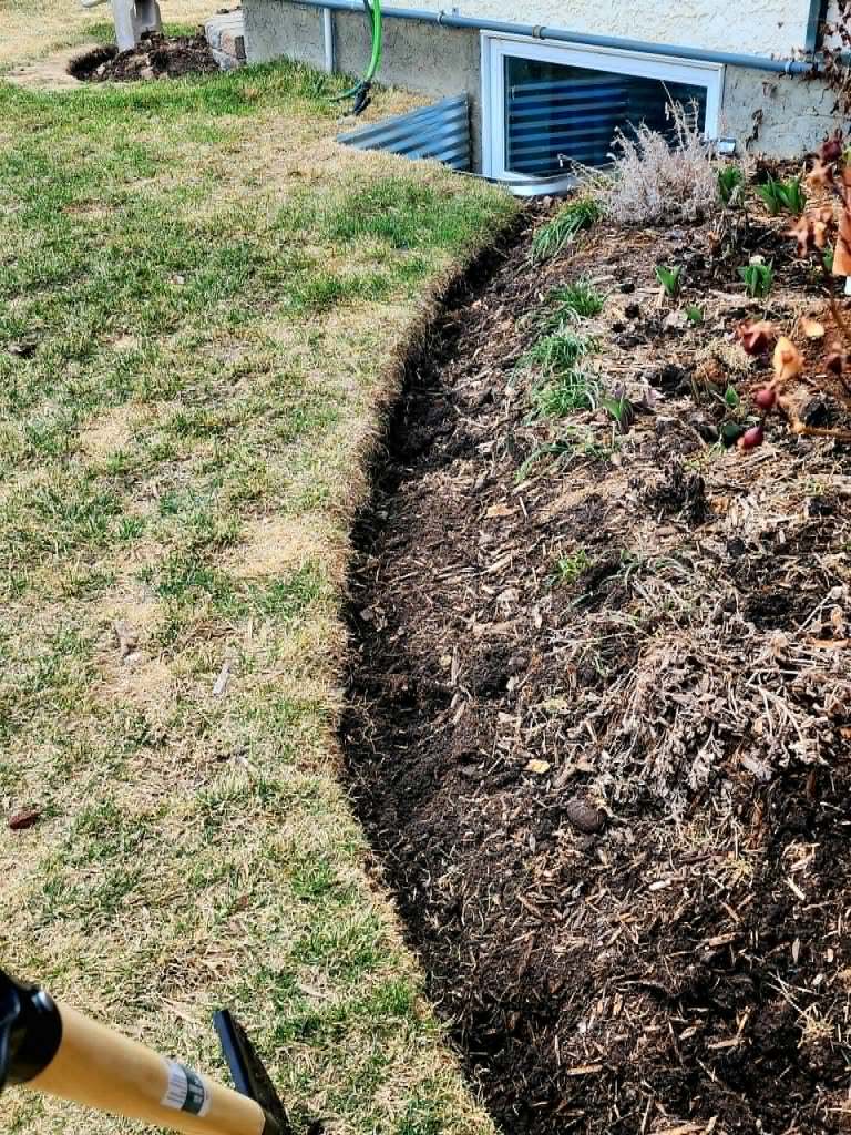 A curving garden bed. 