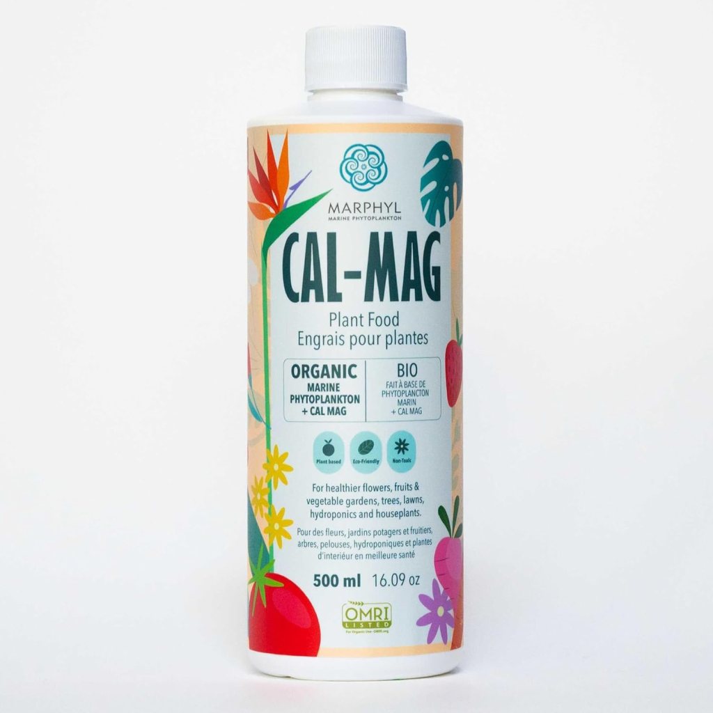 Cal Mag for growing great tomatoes. 