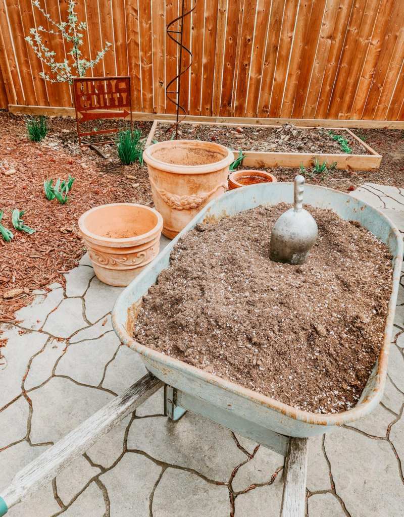 a wheelbarrow full of potting soil to fill up the flower pots for spring planting. 