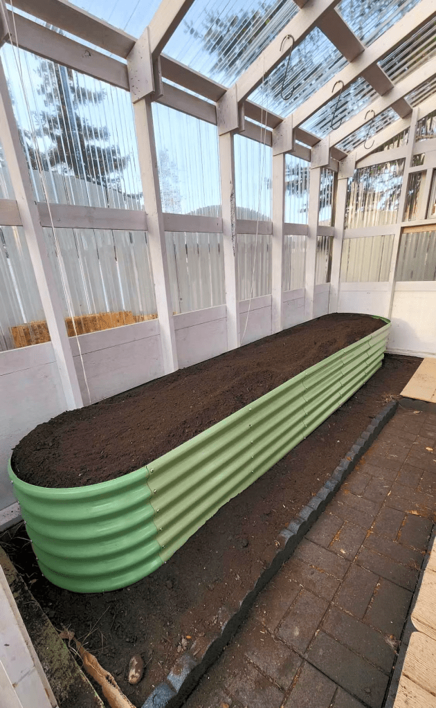 A greenhouse with a long, green raised bed. The bed has lovely new soil and compost, ready to plant up. 