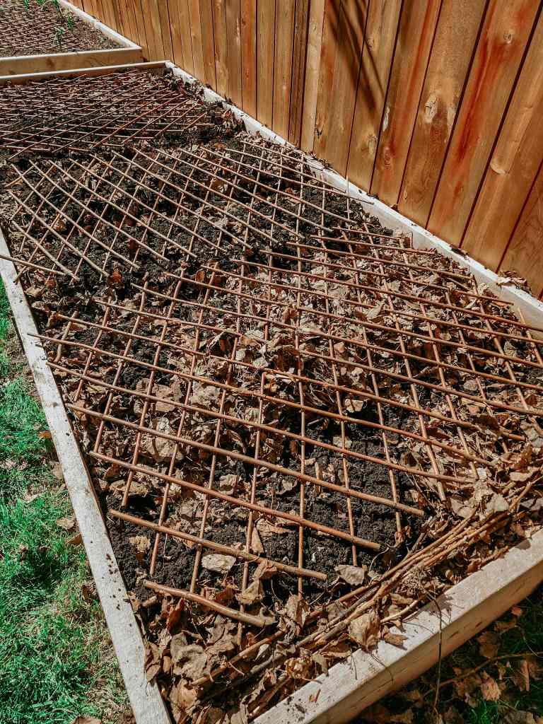A raised garden bed covered with expandable dollar store trellises to keep the cats out.