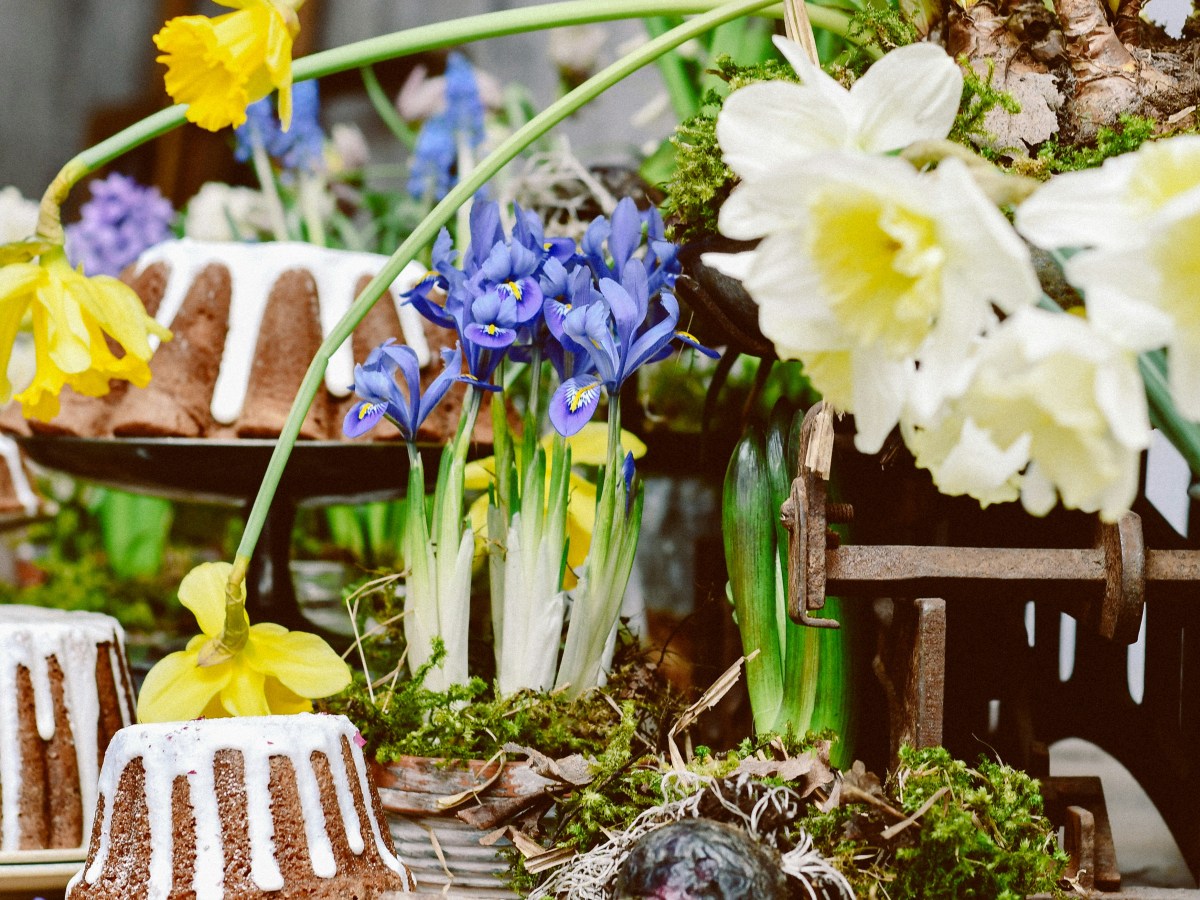 Sunday Potager Garden Ramblings&nbsp;#78