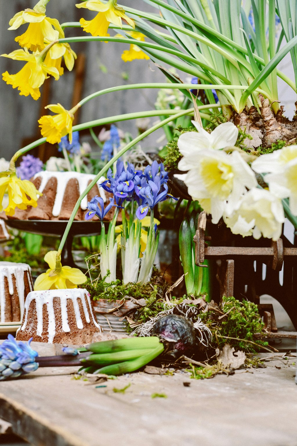 Sunday Potager Garden Ramblings&nbsp;#78