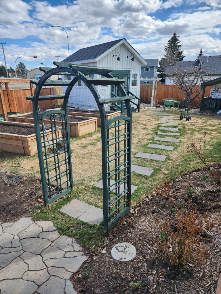 A fenced in backyard with a green arbour leading to a lawn with a stepping stone pathway to the back corner. It is early spring so much of the grass is still brown. 