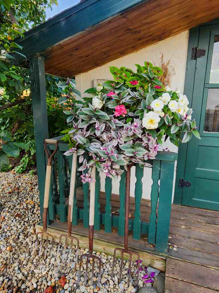 A thriving window box full of white and pink flowers sitting on a green porch railing. Rusty garden forks stand in front of the railing. 