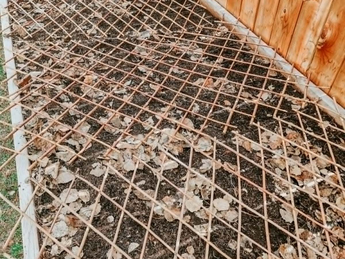Late April/Early May In The Potting&nbsp;Shed