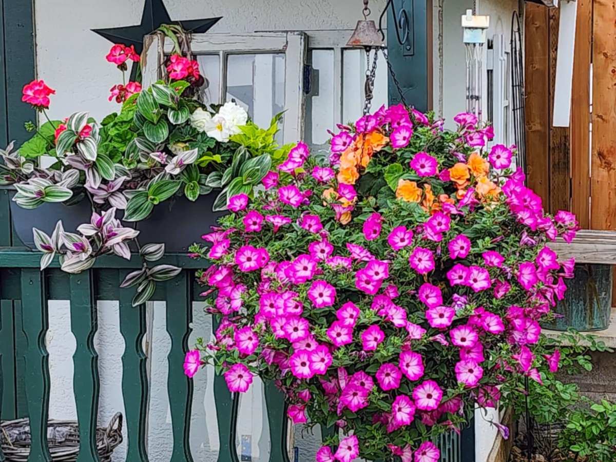 Sunday Ramblings #83