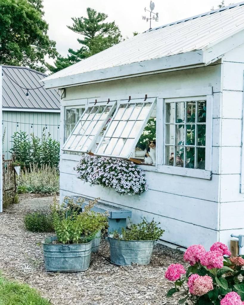 A white potting shed with blush pink flowers growing in a window box. A blue bench sits under the windows, and a couple of rustic zinc pails have herbs growing in them.