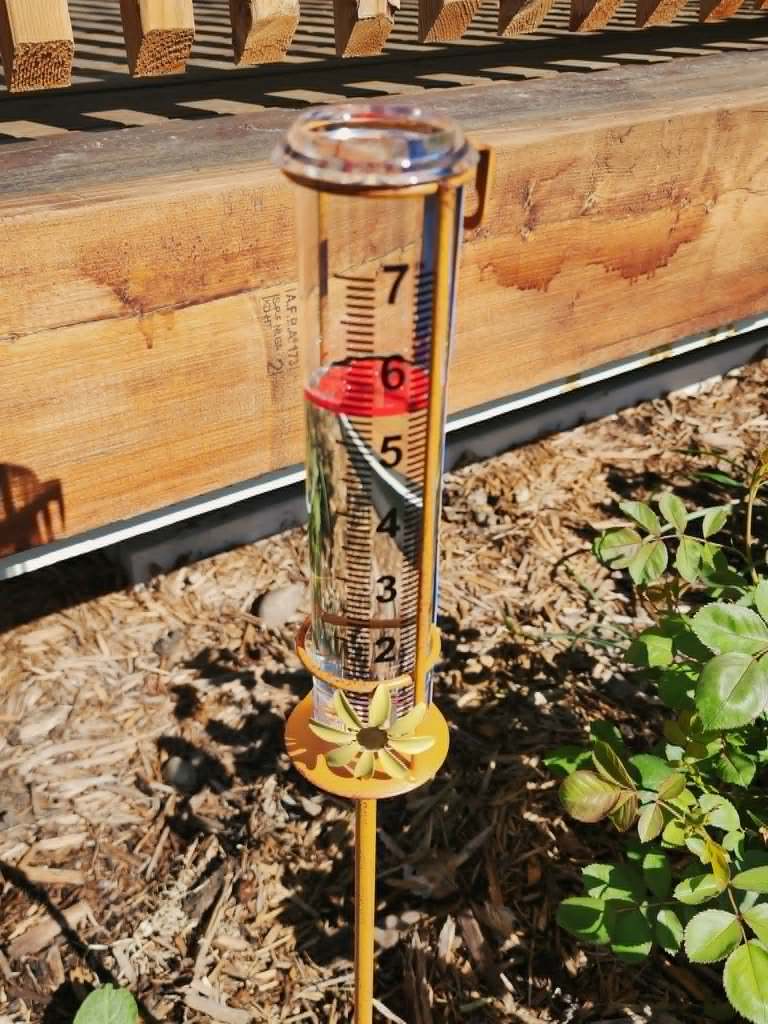 A golden water gauge. 