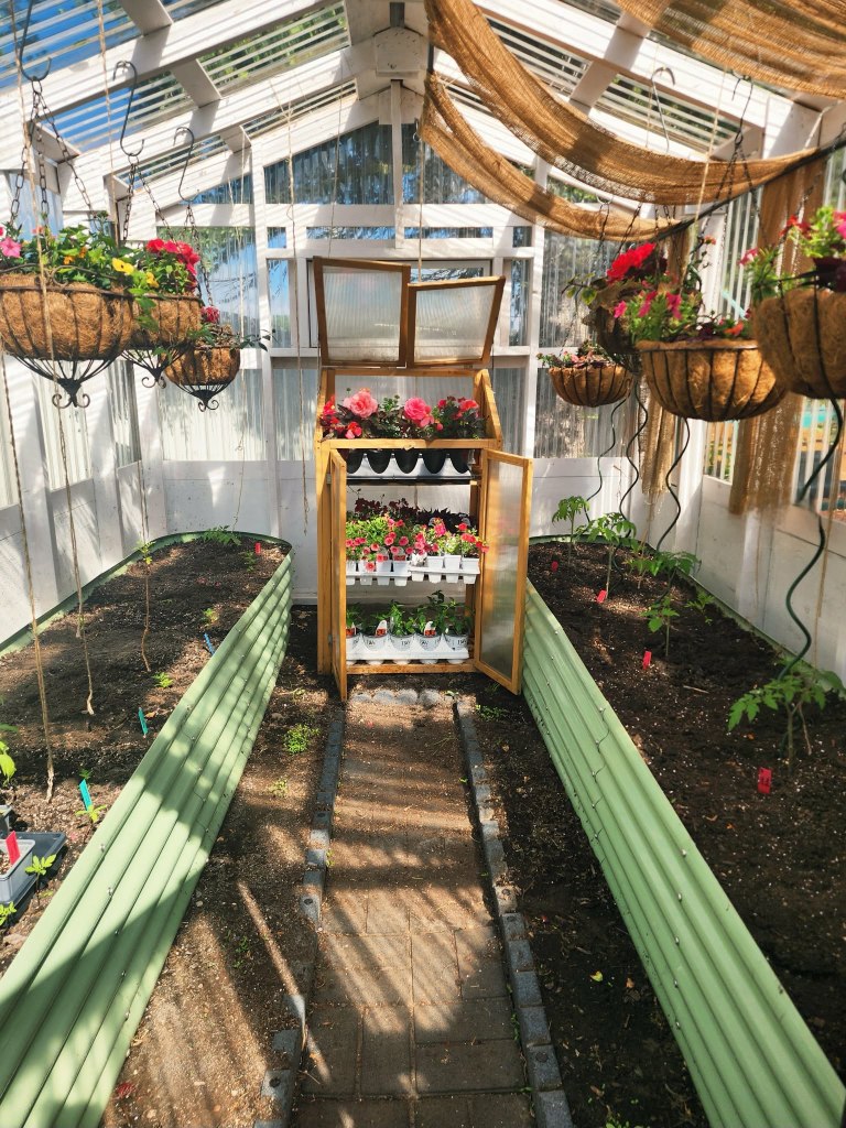 Inside a white greenhouse with burlap shade curtains, there are two pistachio green metal raised beds on either side. There are metal hanging baskets with coir linings are planted up with flowers, a small mini greenhouse holds flowers.