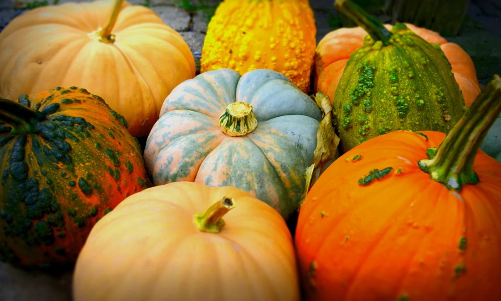 Colourful squash.
