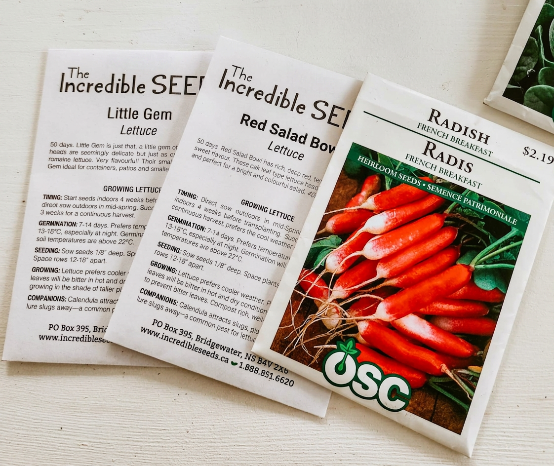 ea49a6dc-34c7-4d29-bcba-8988ec95d736 3 seed packets with sowing dates labelled on the packages.
