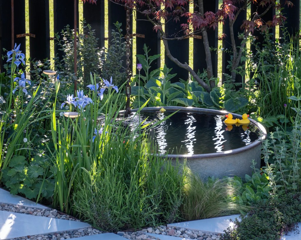A water trough pond in a garden with a brown, wooden fence behind it. Blue irises bloom by the pond.